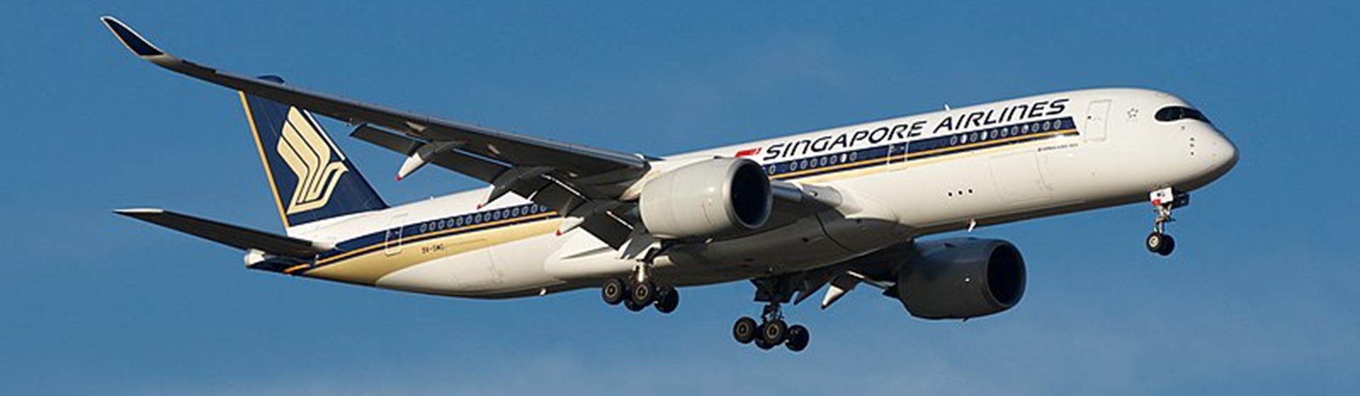Singapore Airlines Flights 