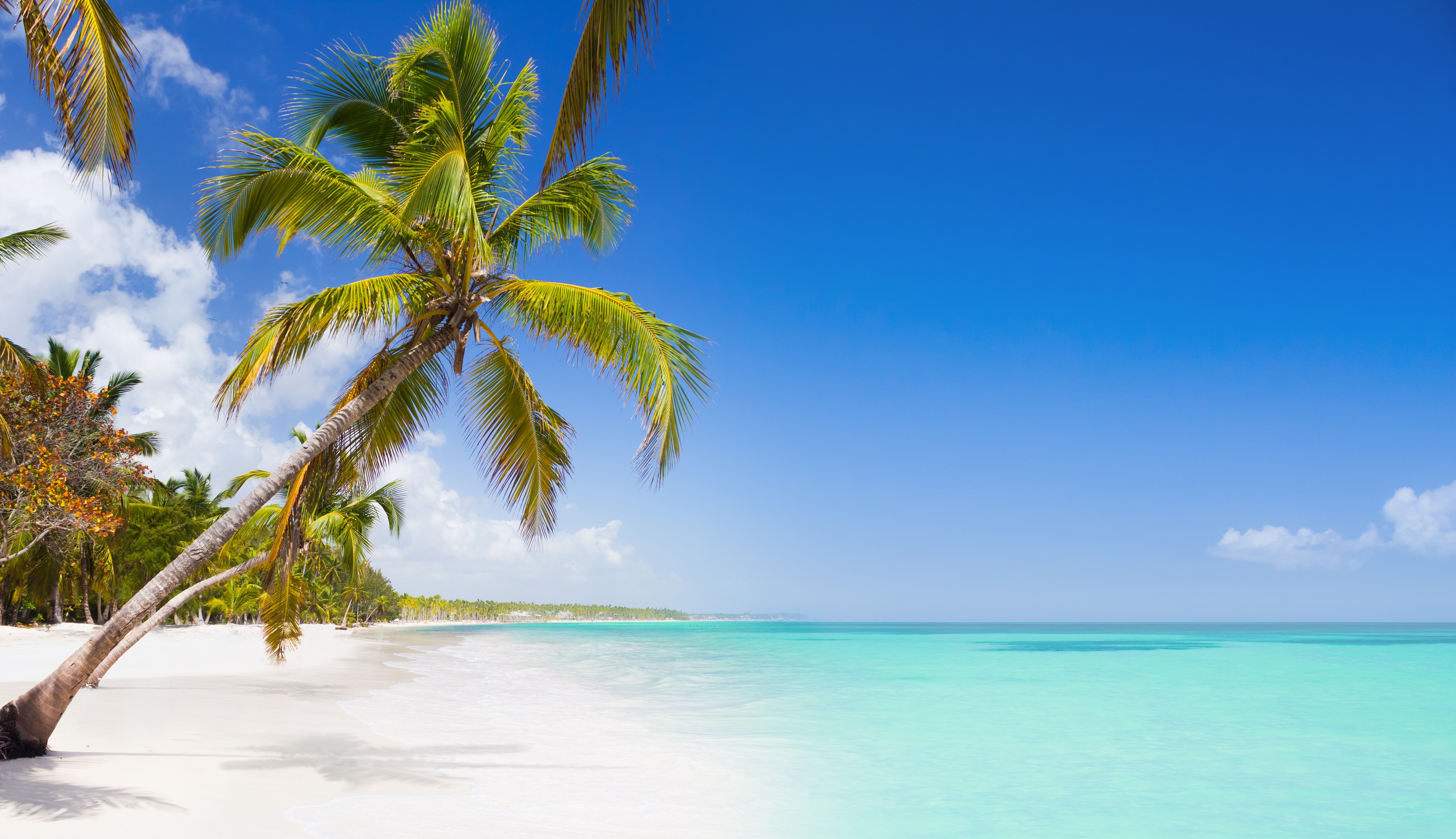 Dominican Republic