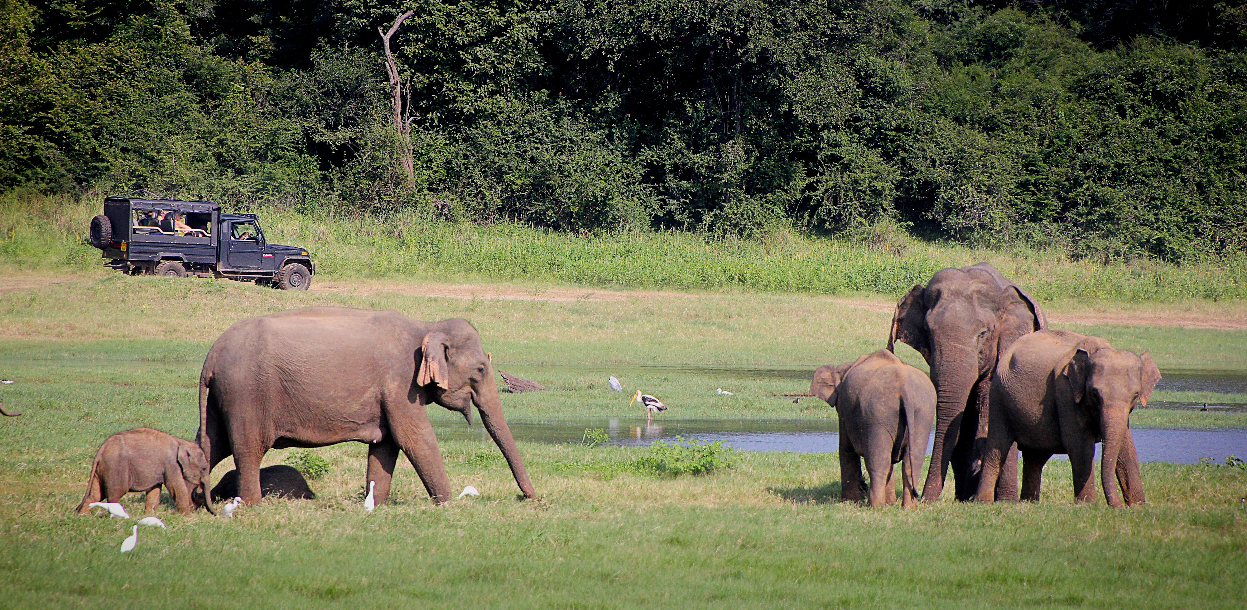 Sri Lanka